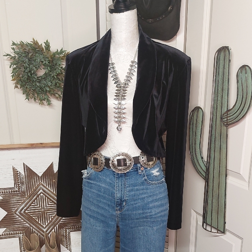 Vintage Whimsygoth Black Velvet Cropped Blazer Medium